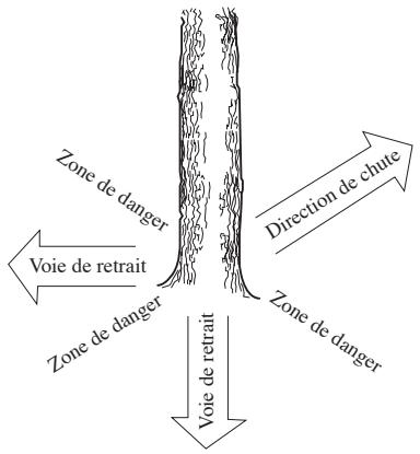 JONSERED CS 2156 CWH - Émondage des branches basses et voie de retraite - 2