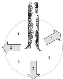 JONSERED CS 2188 - Émondage des branches basses et voie de retraite - 2