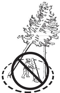 JONSERED CS 2188 - Récupération d'un arbre accroché - 2