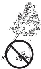 JONSERED CS 2240 S - Récapération d'un arbre accroché - 1