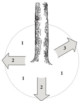 JONSERED CS 2245 S - Émondage des branches basses et voie de retraite - 2