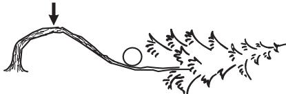 JONSERED CS 2250 S - Bomen en takken zagen die onder spanning staan - 1