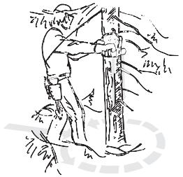 JONSERED CS 2250 S - Enfernen von Åsten im unteren Stammbereich und Rückzugsweg - 1