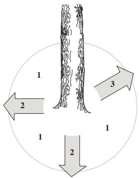 JONSERED CS 2250 S - Émondage des branches basses et voie de retraite - 2