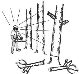 JONSERED CS 2250 S - Règles élémentaires de sécurité - 1