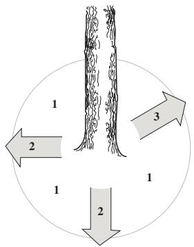 JONSERED CS 2250 S - Enfernen von Åsten im unteren Stammbereich und Rückzugsweg - 2