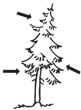 JONSERED CS 2250 S - Fällrichtung - 1