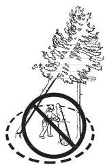 JONSERED CS 2250 S - Herunterholen eines gefällten und festgeklemmten Baumstamms - 2