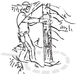 JONSERED CS 2250 S - Émondage des branches basses et voie de retraite - 1