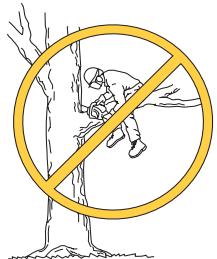 JONSERED CS 2250 S - Gebruik altijd uw gezond verstand - 1