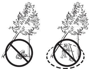 JONSERED CS 2250 S - Récapération d'un arbre accroché - 1