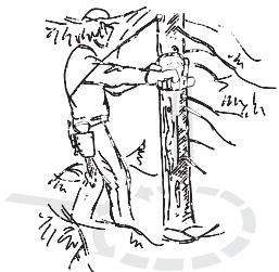 JONSERED CS 2250 S - Onderste gedeelte van de stam snoeien en vluchtweg - 1