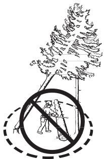 JONSERED CS 2255 - Récupération d'un arbre accroché - 2