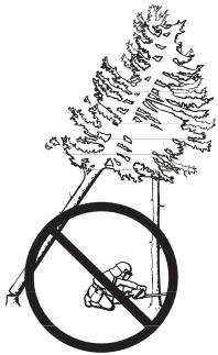 JONSERED CS 2255 - Récupération d'un arbre accroché - 1