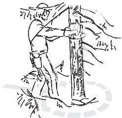JONSERED CS 2255 - Émondage des branches basses et voie de retraite - 1