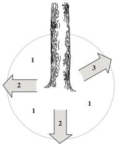 JONSERED CS 2255 - Émondage des branches basses et voie de retraite - 2