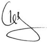 JONSERED GR 2036 - EG-Konformitätserklärag (nur für Europa) - 1