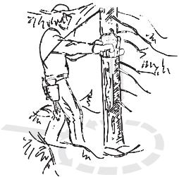 JONSERED S 2245 S - Émondage des branches basses et voie de retraite - 1