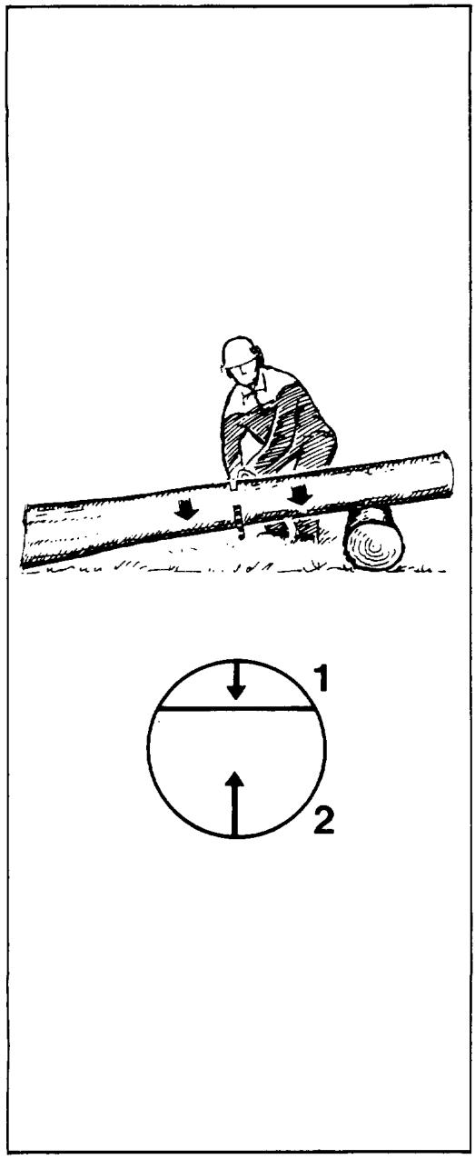JONSERED 380 - Limbing - 3