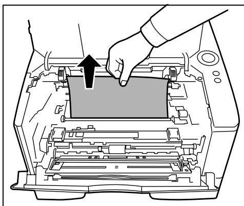OLIVETTI PG L2028/2028SPECIAL - A l'intérieur de l'imprimante - 6