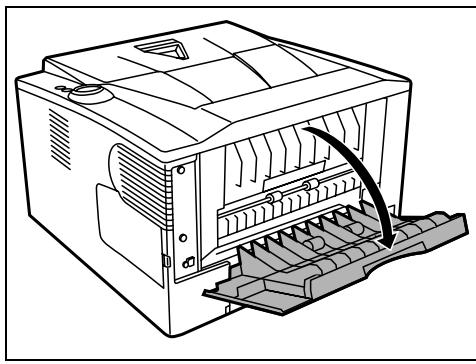 OLIVETTI PG L2028/2028SPECIAL - Carte CompactFlash (CF) - 2