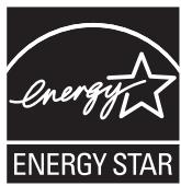 OLIVETTI PG L2028/2028SPECIAL - Programme Energy Star (ENERGY STAR®) (Pour PG L2028 Special uniqueness) - 1
