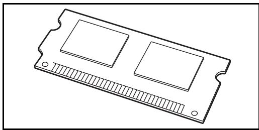 OLIVETTI D-COPIA 4200MF - Extension mémoire - 1