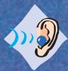 SENNHEISER E835 S - Model Registration - 6