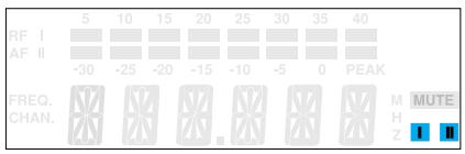 SENNHEISER EVOLUTION WIRELESS EW 100 - Diversity-Empfang - 1