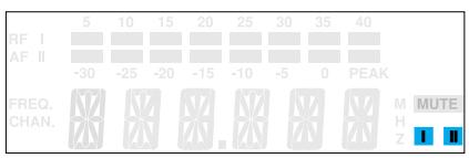 SENNHEISER EVOLUTION WIRELESS EW 100 - Diversity reception - 1
