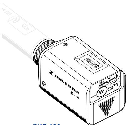 SENNHEISER EVOLUTION WIRELESS EW 100 - Sicherheitshinweise - 4