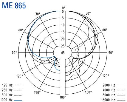 SENNHEISER EVOLUTION WIRELESS EW 100 - Mikrofone - 2