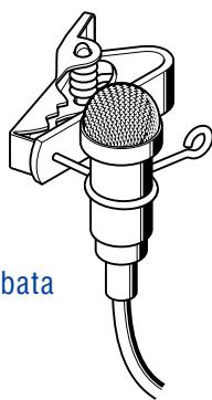 SENNHEISER EVOLUTION WIRELESS EW 100 - Setew 122 - 2