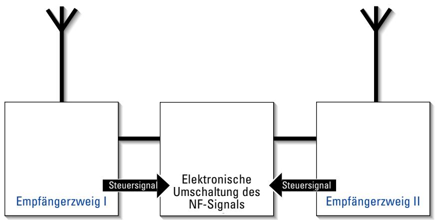 SENNHEISER EVOLUTION WIRELESS EW 100 - Diversity-Empfang - 2