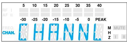 SENNHEISER EVOLUTION WIRELESS EW 100 - Standardanzeige umschalten - 3