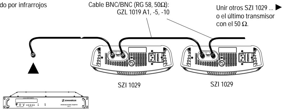 SENNHEISER SZI 1029-10 - ENLACE EN UNA INSTALLACION MAS GRANDE - 1