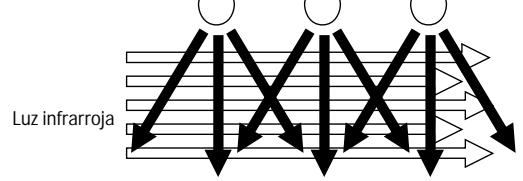 SENNHEISER SZI 1029-10 - INFLUENCIA DE LAS LUCES EXTERNAS - 2