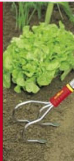 BRIGGS & STRATTON BRIGGS & STRATTON 2.48 BA - WOLF Garten - 3