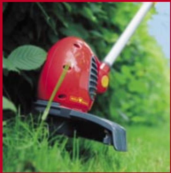 BRIGGS & STRATTON BRIGGS & STRATTON 2.48 BA - WOLF Garten - 6