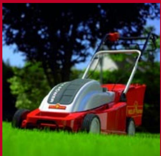 BRIGGS & STRATTON BRIGGS & STRATTON 2.48 BA - WOLF Garten - 9
