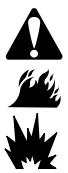 BRIGGS & STRATTON BRIGGS & STRATTON 440000 - Filtre à air ovale - 1