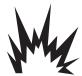 BRIGGS & STRATTON BRIGGS & STRATTON 7000 WATT GENERATOR SYSTEM - WARNING - 2