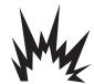 BRIGGS & STRATTON BRIGGS & STRATTON 7000 WATT GENERATOR SYSTEM - WARNING - 2