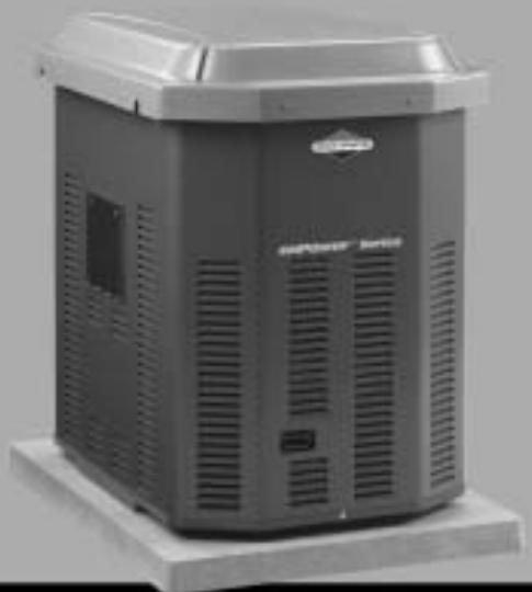 BRIGGS & STRATTON BRIGGS & STRATTON 7000 WATT GENERATOR SYSTEM - 1