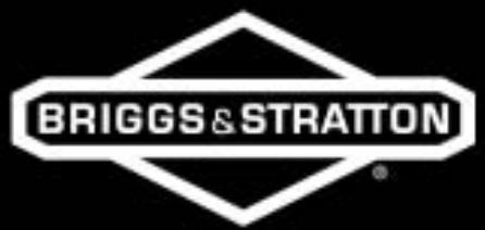 BRIGGS & STRATTON BRIGGS & STRATTON 7000 WATT GENERATOR SYSTEM - 2