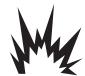 BRIGGS & STRATTON BRIGGS & STRATTON 7000 WATT GENERATOR SYSTEM - WARNING - 2