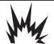 BRIGGS & STRATTON BRIGGS & STRATTON ELITE 10000 WATT - WARNING - 2