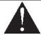 BRIGGS & STRATTON BRIGGS & STRATTON ELITE 10000 WATT - WARNING - 2