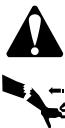 BRIGGS & STRATTON BRIGGS & STRATTON 350700 - WARNING - 1