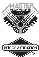 BRIGGS & STRATTON BRIGGS & STRATTON 401500 - Entretien - 1